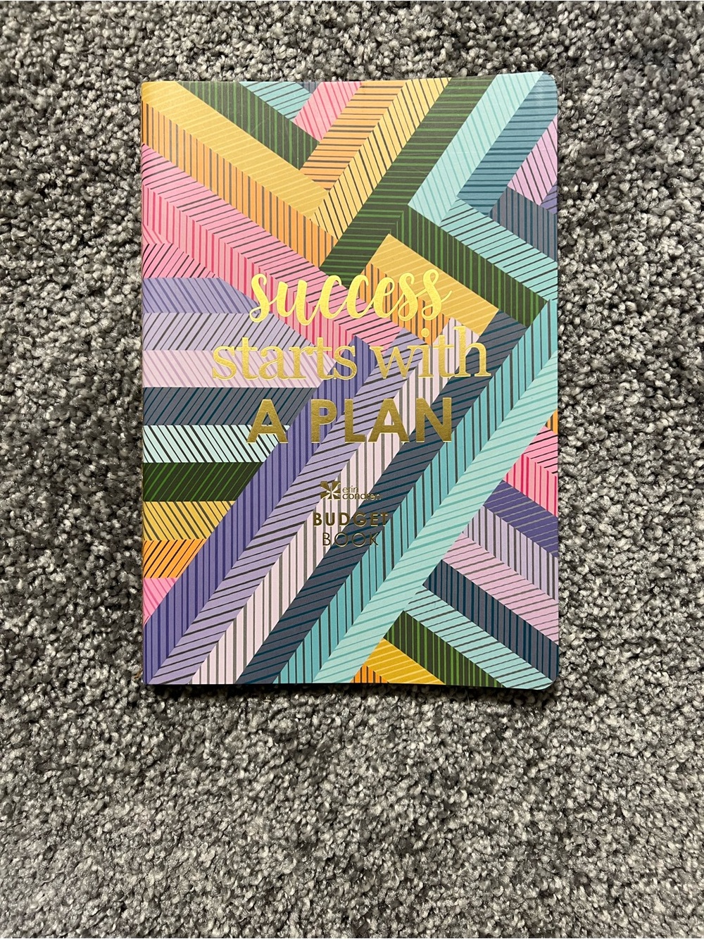 Erin Condren budget book